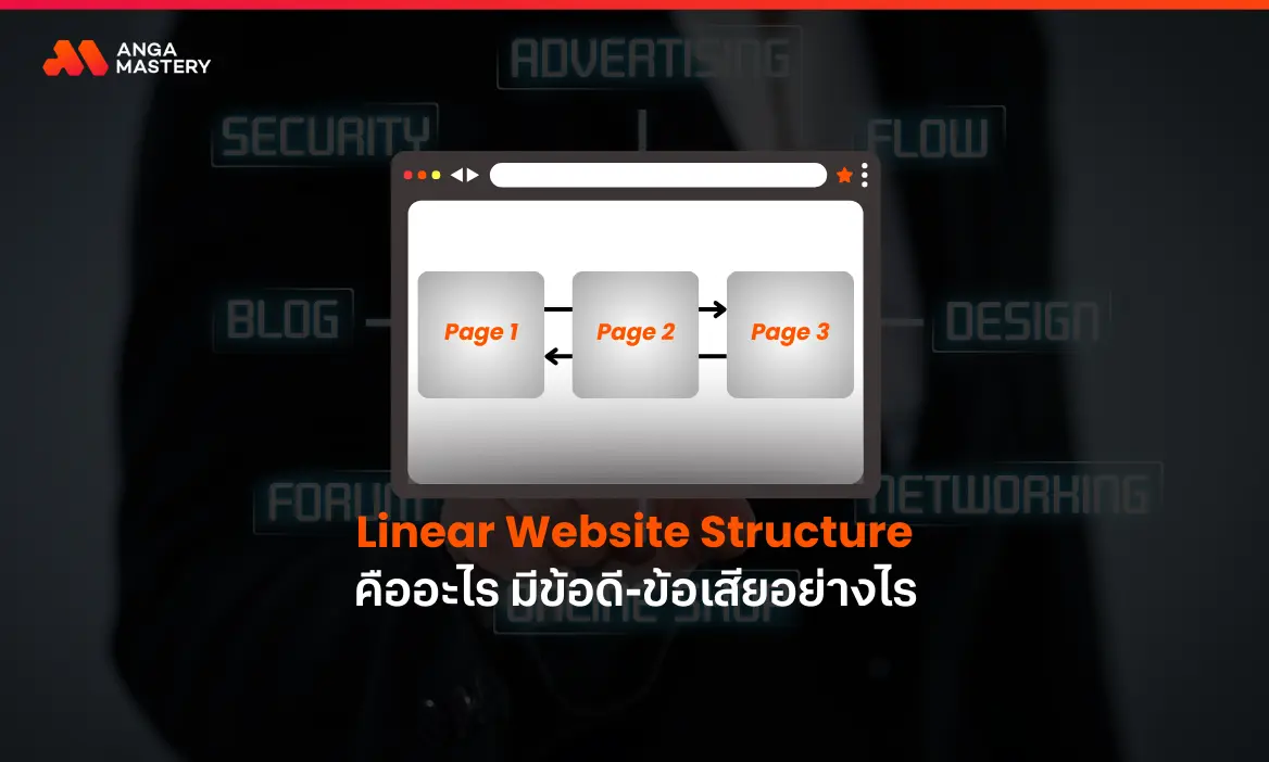 โครงสร้างเว็บแบบเส้นตรง (Linear Website Structure) คืออะไร มีข้อดี-ข้อเสียอย่างไร.webp