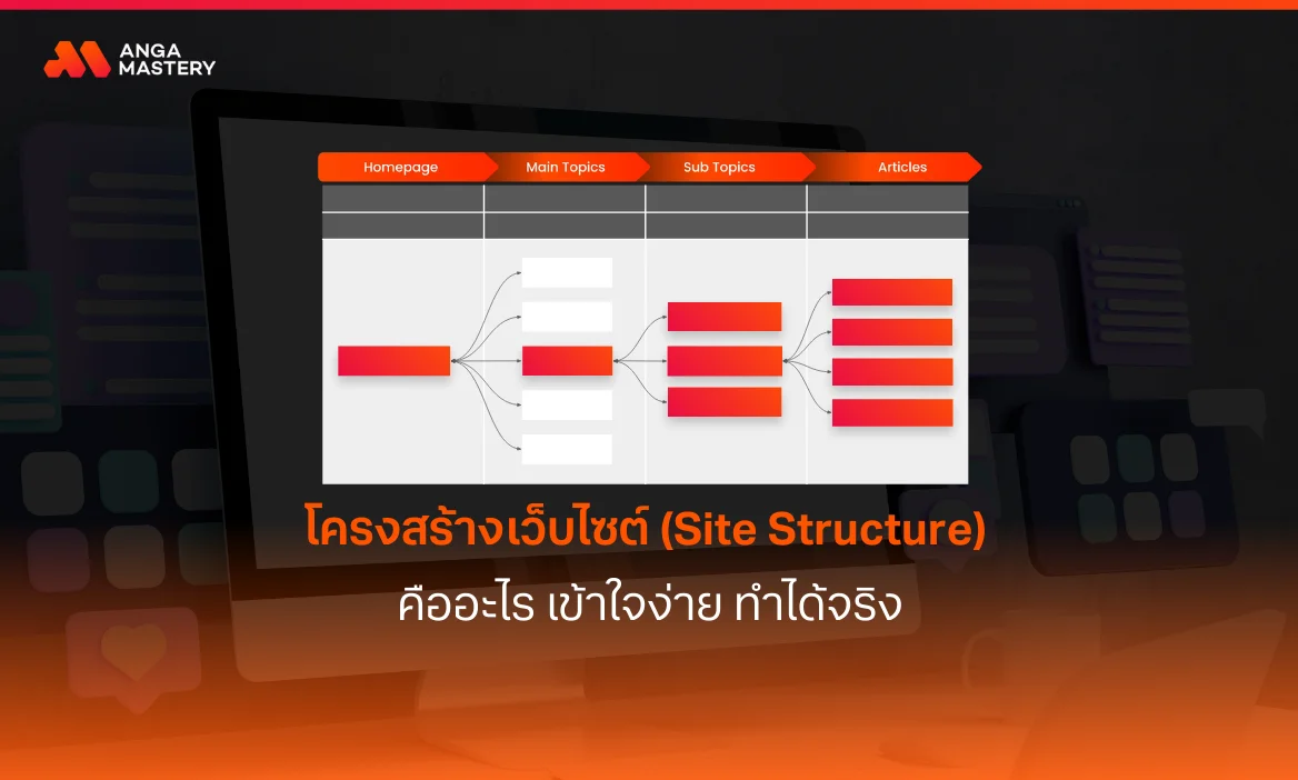 โครงสร้าง เว็บไซต์.webp