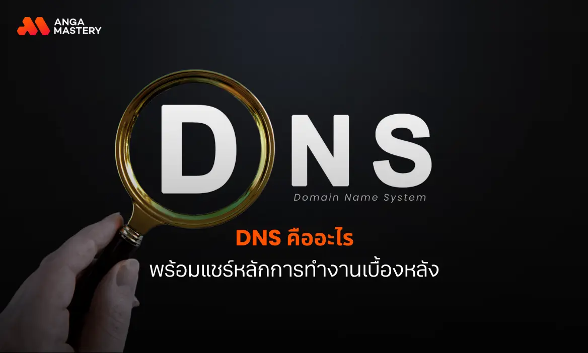 dns คืออะไร.webp